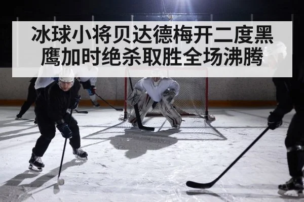 冰球小将贝达德梅开二度黑鹰加时绝杀取胜全场沸腾