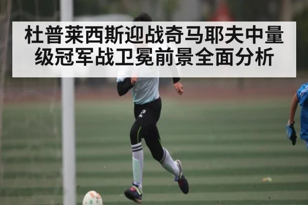 杜普莱西斯迎战奇马耶夫中量级冠军战卫冕前景全面分析 | kaiyun